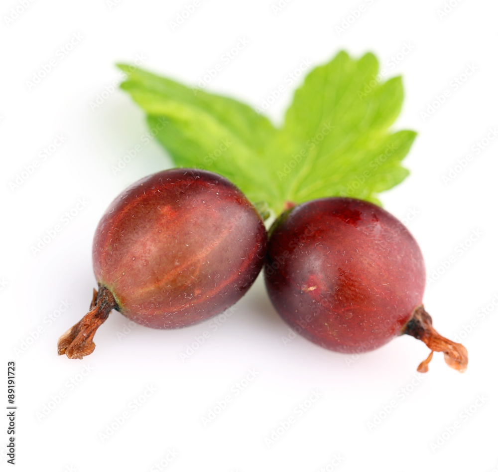 Fresh gooseberries with leaf isolated on white Fresh gooseberries with leaf isolated on white
