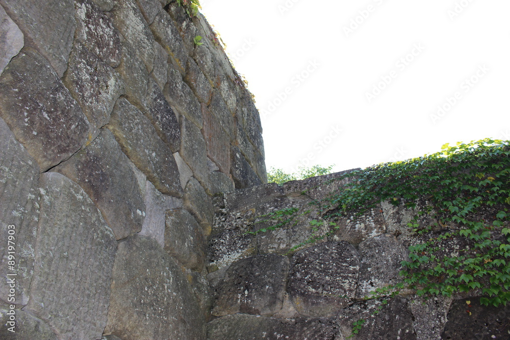 会津若松の鶴ヶ城の石垣の交点