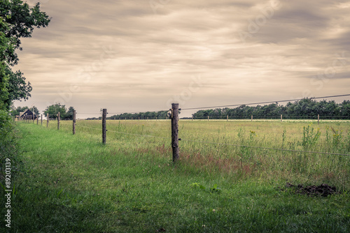 Wooden fence on a green field © Polarpx