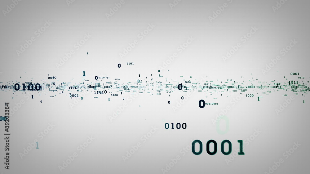 Binary Bits and Bytes White