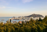 Busan cityscape