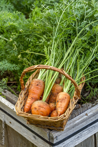 Carrots in a basket.