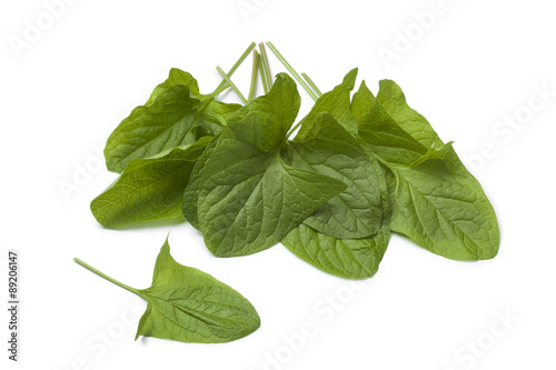 Fresh Good-King-Henry vegetable photo