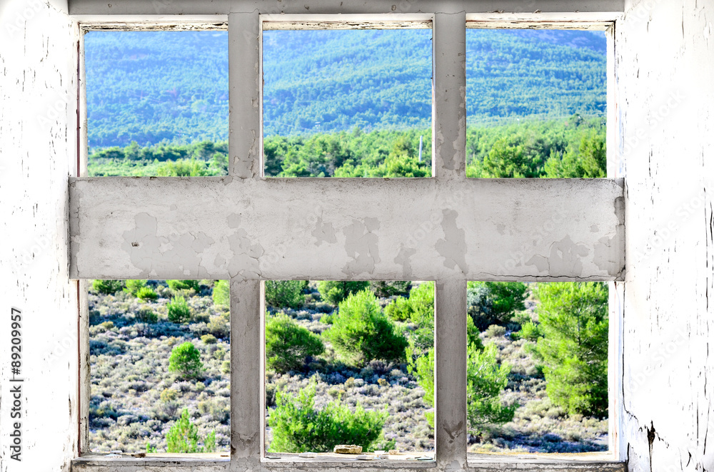 Fototapeta premium abandoned window forest view