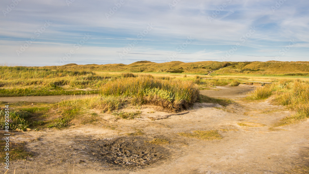 Nature park the Slufter on the wadden island Texel in the Nether