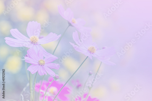 flower background.