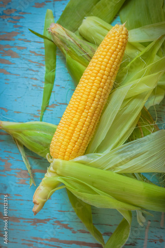 Freshly picked ear of corn, sweet maize cob