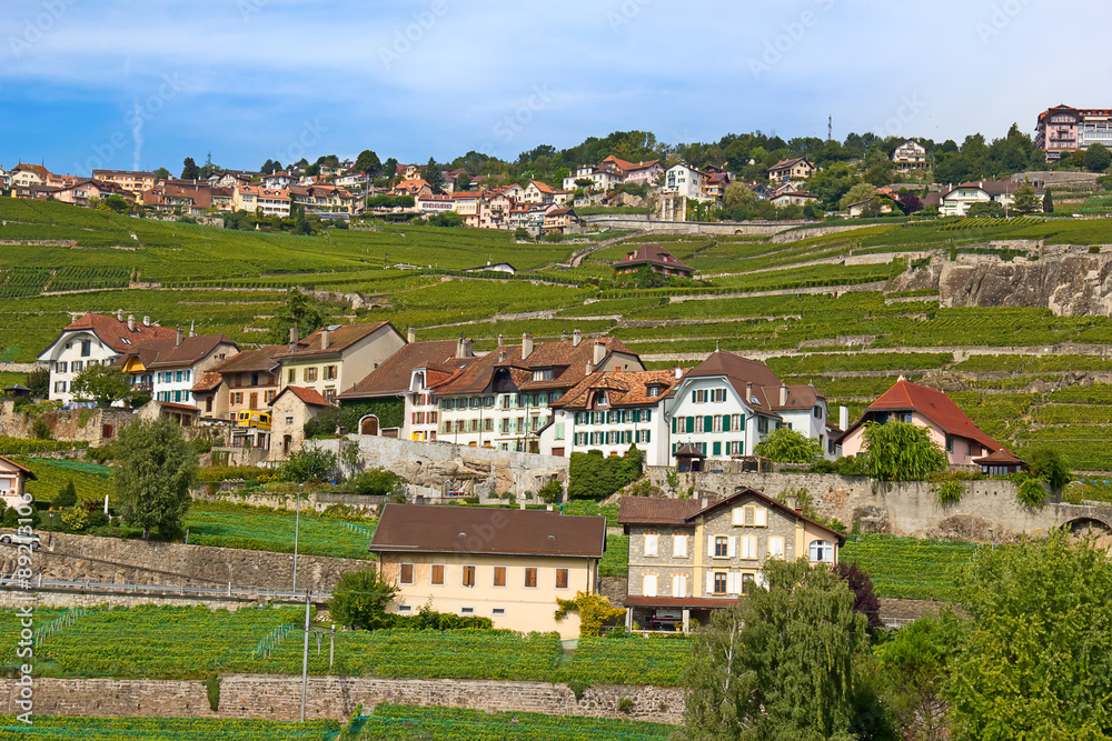 Lavaux region