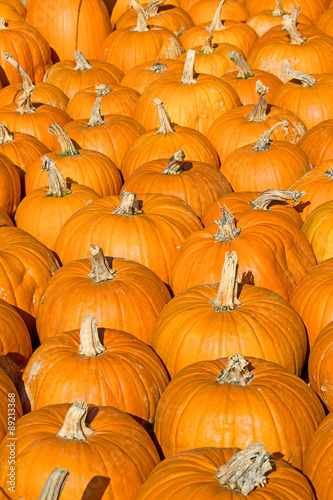 Colorful pumpkins