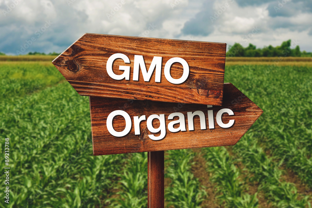 Gmo or Organic Farming Direction Sign - obrazy, fototapety, plakaty 