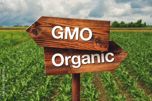Gmo or Organic Farming Direction Sign photo