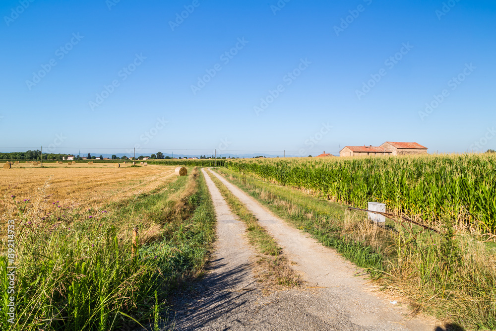 Obraz premium wheat bales near corn fields