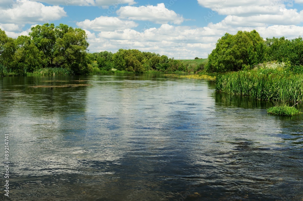 Quiet river with green trees on the banks and blue sky with whit Quiet river with green trees on the banks and blue sky with whit