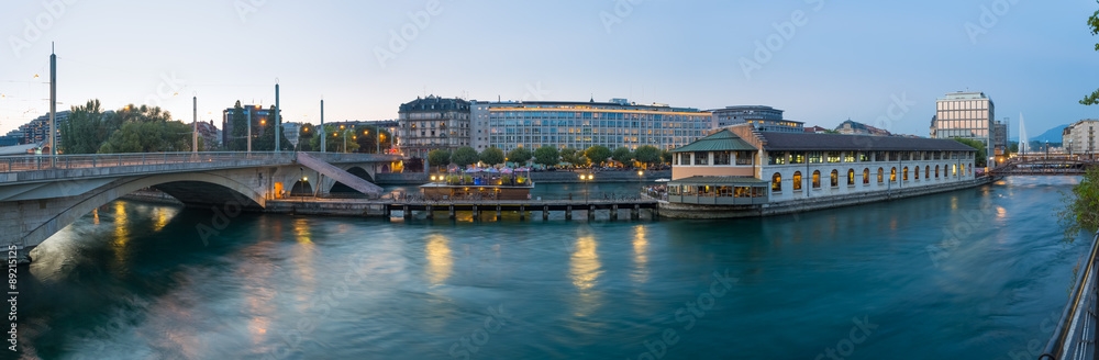 Naklejka premium Downtown Geneva panoramic