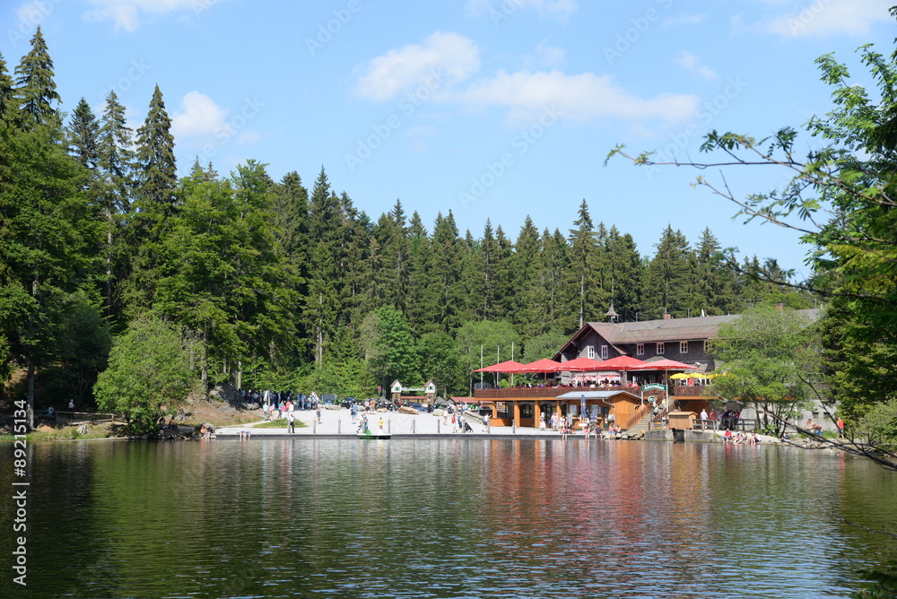 Fototapeta premium GRoßer Arbersee