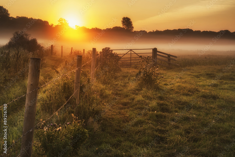 Stunning sunrise landscape over foggy English countryside with g