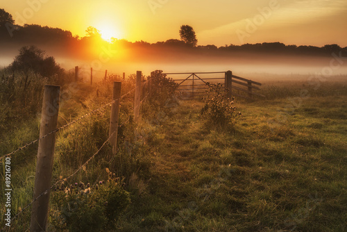 Stunning sunrise landscape over foggy English countryside with g