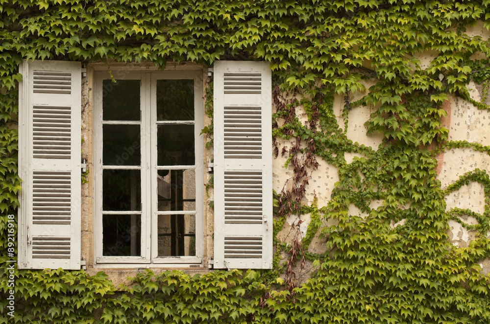 French Window with Ivy. Ivy is invading the space of this french window