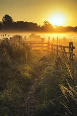 Fototapete Honigfarbe Erstaunliche Sonnenaufganglandschaft über nebeliger englischer Landschaft mit g  © veneratio