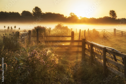 Stunning sunrise landscape over foggy English countryside with g photo