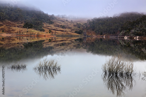 BM Lake lyell bushes water photo