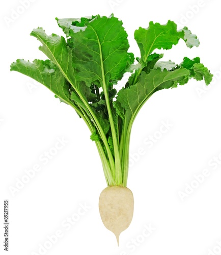 Fresh sugar beet with leaves isolated on white background. Design element for 

product label, catalog print, web use.