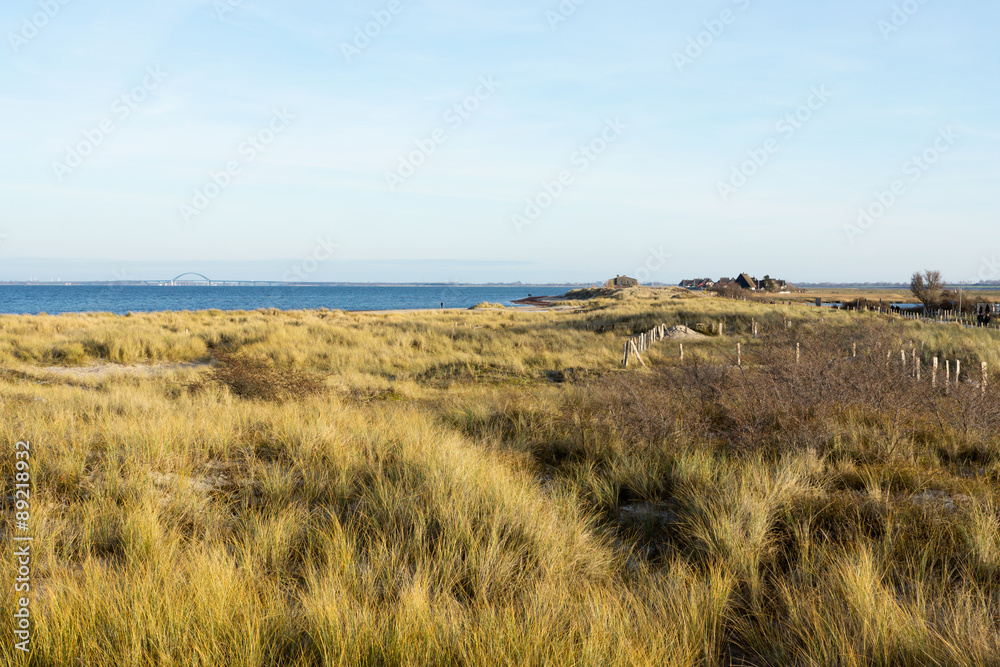 Dünenlandschaft auf dem Graswader in Heiligenhafen an der Ostsee, Deutschland