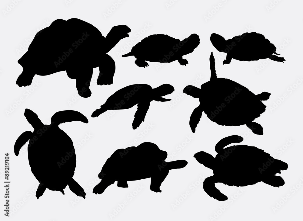 Obraz premium Żółw i sylwetki zwierząt żółw