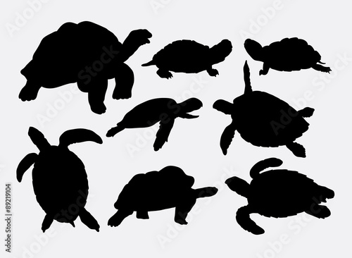 Turtle and tortoise animal silhouettes photo