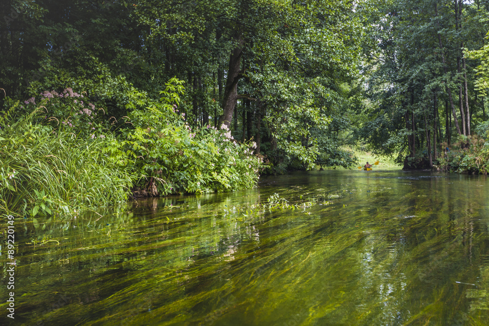 Kayaking on the Rospuda river, Poland Kayaking on the Rospuda river, Poland