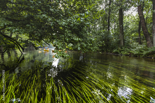 Fototapeta Naklejka Na Ścianę i Meble -  Kayaking on the Rospuda river, Poland