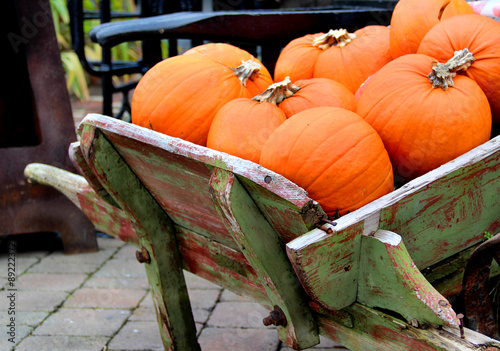 Big mix of Halloween pumpkins, fall photo