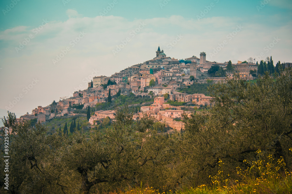 View of Assisi town