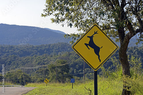 Road sign warning about crossing deer