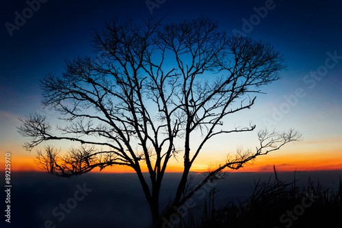 Sun set behind the silhouette tree in a rural of Thailand
