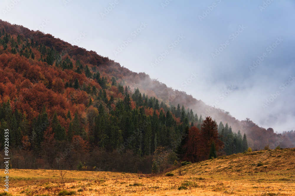 Landscape of mountain autumn  with colorful and mist forest.