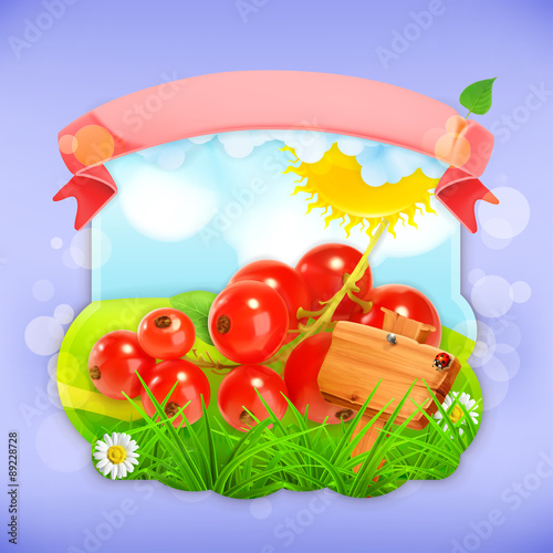 Red currant, vector label design