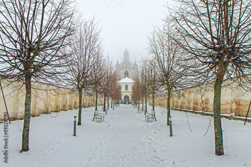 Alley to the Monastery in winter