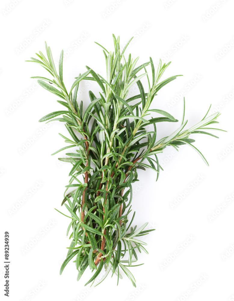 Fresh garden herbs. Rosemary