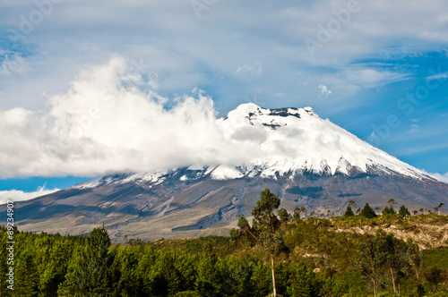 Cotopaxi volcano over the plateau  Andes of Ecuador