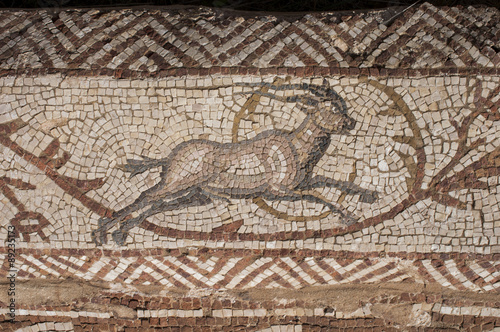 I mosaici di una antica villa romana in Libia (Villa Sileen) 