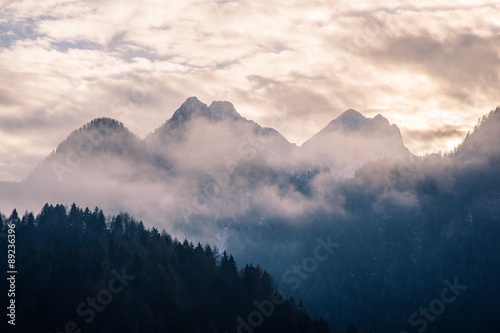 The mountains in the fog