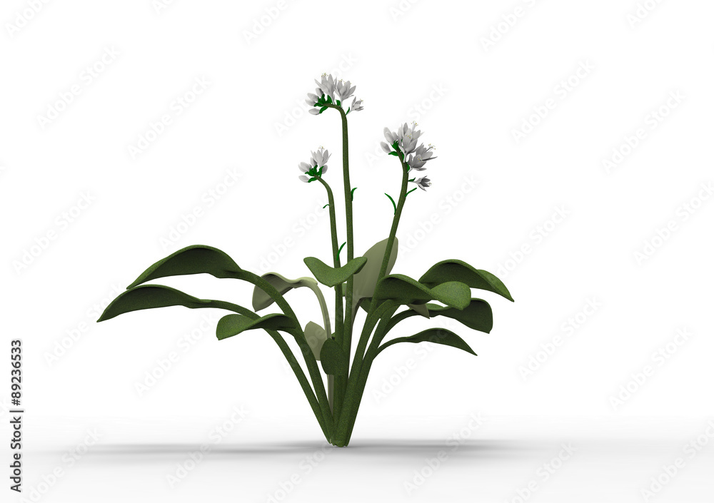 Fototapeta premium Tree Flowers