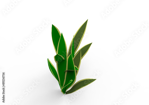 Fototapeta Naklejka Na Ścianę i Meble -  Houseplant - Variegated Snake Plant a potted plant on a white background