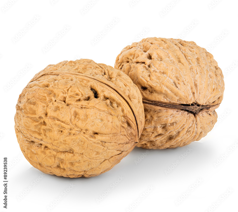 walnuts close-up isolated on a white background walnuts close-up isolated on a white background