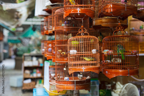 Photography Birds market