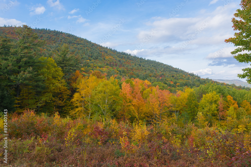 Spattering of autumn colors on Prospect Mountain in mid-October. 