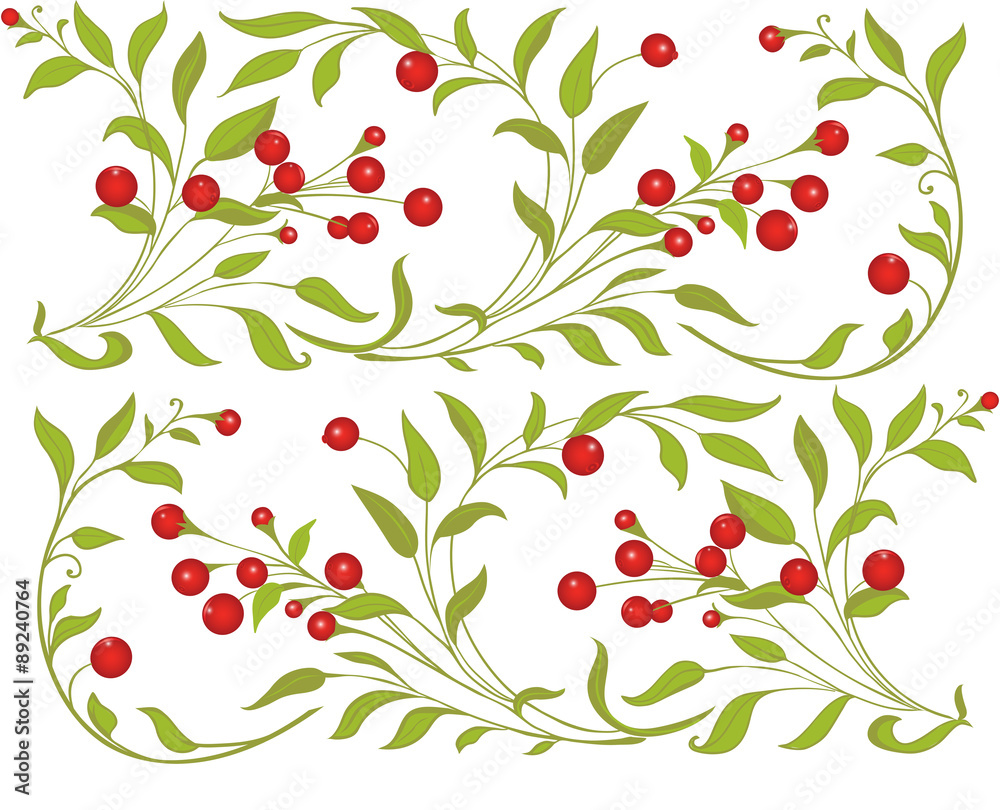 Berries ornament/background Berries ornament/background