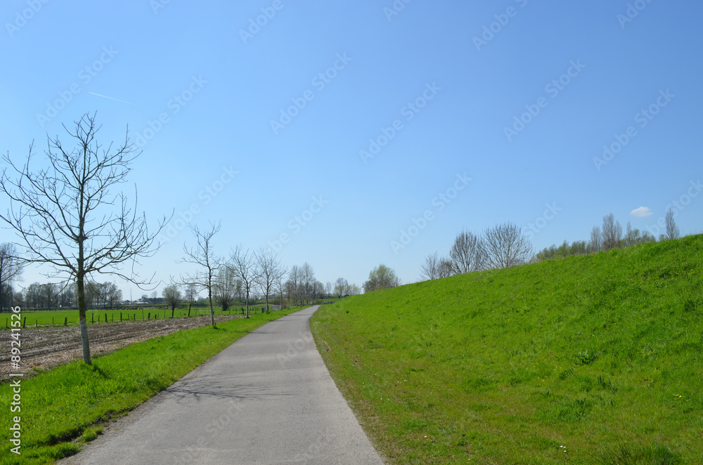 Bicycle trail through rural landscape with brown cows