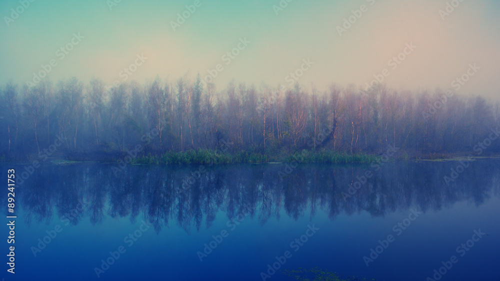 Fototapeta premium river and forest